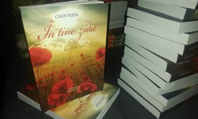 in tine zidit, calin plesa